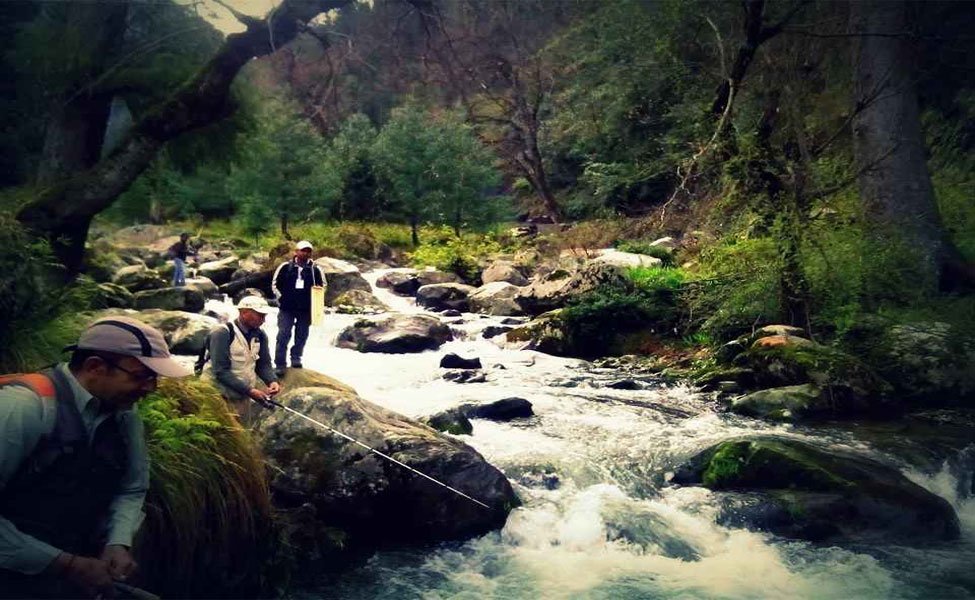 Tirthan-tour-package